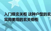 入门级玄关柜 这种户型的玄关如何设计 如何设计 如何选择实用美观的玄关橱柜