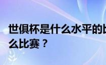 世俱杯是什么水平的比赛？世界俱乐部杯是什么比赛？