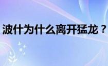 波什为什么离开猛龙？波什为什么离开猛龙？