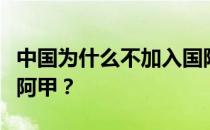 中国为什么不加入国际驾照？为什么中国不在阿甲？