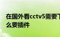 在国外看cctv5需要下载什么插件 cctv5为什么要插件 