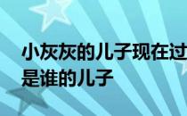 小灰灰的儿子现在过得怎么样了 小灰灰到底是谁的儿子 