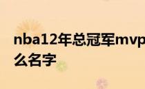 nba12年总冠军mvp nba全明星mvp奖杯什么名字 