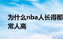 为什么nba人长得那么高 nba人为什么比正常人高 