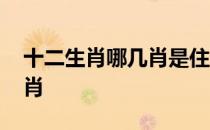 十二生肖哪几肖是住山洞 生肖住山洞有哪几肖 