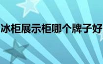 冰柜展示柜哪个牌子好？冷藏展示柜品牌推荐