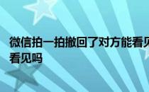 微信拍一拍撤回了对方能看见吗 微信拍一拍撤回了对方还能看见吗 