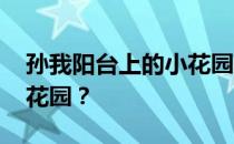 孙我阳台上的小花园 阳台花园是怎样的阳台花园？