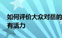 如何评价大众对岳的探索？年轻人要年轻 要有活力