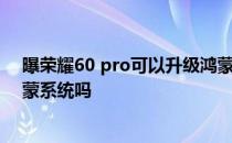 曝荣耀60 pro可以升级鸿蒙系统吗 荣耀60Pro搭载的是鸿蒙系统吗 