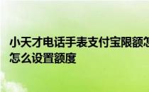 小天才电话手表支付宝限额怎么办 小天才电话手表的支付宝怎么设置额度 