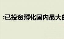 :已投资孵化国内最大的民宿行业综合服务商