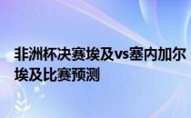 非洲杯决赛埃及vs塞内加尔 2022世预赛非洲区塞内加尔VS埃及比赛预测 