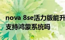 nova 8se活力版能升级鸿蒙吗 华为nova8SE支持鸿蒙系统吗 