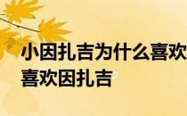 小因扎吉为什么喜欢科雷亚 为什么那么多人喜欢因扎吉 