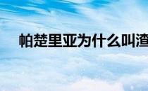 帕楚里亚为什么叫渣渣 为什么帕楚里亚 