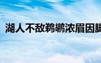 湖人不敌鹈鹕浓眉因脚踝伤势时隔18场复出