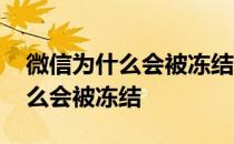 微信为什么会被冻结怎样才能恢复 微信为什么会被冻结 