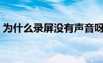 为什么录屏没有声音呀 为什么录屏没有声音 