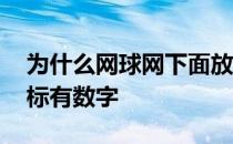 为什么网球网下面放一个钢管 为什么网球上标有数字 