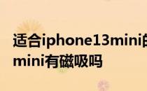 适合iphone13mini的磁吸充电宝 iPhone13mini有磁吸吗 