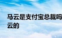 马云是支付宝总裁吗 支付宝是国家的还是马云的 