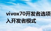 vivox70开发者选项在哪里 vivoX70怎么进入开发者模式 