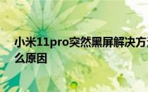 小米11pro突然黑屏解决方法 小米11为什么突然黑屏是什么原因 