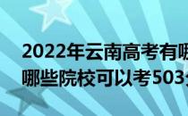 2022年云南高考有哪些大学能考503分？有哪些院校可以考503分？