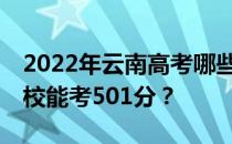 2022年云南高考哪些大学能考501分 哪些院校能考501分？