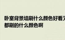 卧室背景墙刷什么颜色好看又提亮 各位亲们家庭卧室背景墙都刷的什么颜色啊 