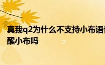 真我q2为什么不支持小布语音唤醒 真我gtneo3可以语音唤醒小布吗 