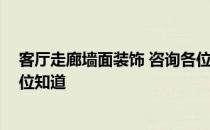 客厅走廊墙面装饰 咨询各位 装修客厅走廊墙面设计方法哪位知道 