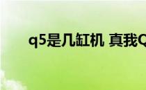 q5是几缸机 真我Q5采用什么处理器 