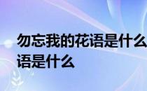 勿忘我的花语是什么象征了什么 勿忘我的花语是什么 