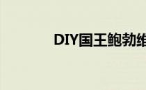 DIY国王鲍勃维拉的家卖熨斗