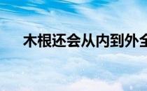 木根还会从内到外全面检查汽车的审美