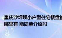 重庆沙坪坝小户型住宅楼盘推荐 重庆小户型楼盘请问谁了解哪里有 能简单介绍吗 