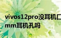 vivos12pro没耳机口吗 vivoS15Pro支持3.5mm耳机孔吗 