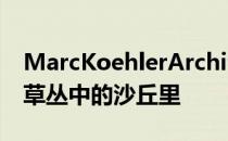 MarcKoehlerArchitects的海滨别墅半浸在草丛中的沙丘里