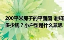 200平米房子的平面图 谁知道装修一套200平米的小户型要多少钱？小户型是什么意思？