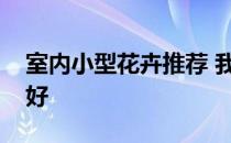 室内小型花卉推荐 我想知道室内什么花卉最好 