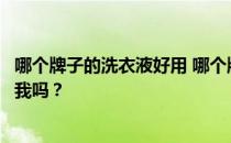 哪个牌子的洗衣液好用 哪个牌子的洗衣液好用？有人能告诉我吗？