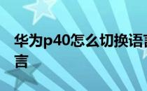 华为p40怎么切换语言 华为P50E怎么切换语言 