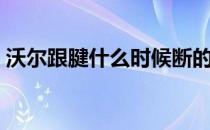 沃尔跟腱什么时候断的 为什么沃尔左手扣篮 