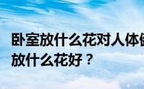 卧室放什么花对人体健康有好处？谁知道卧室放什么花好？