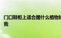 门口鞋柜上适合摆什么植物好 鞋柜上适合摆什么谁可以告诉我 