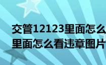 交管12123里面怎么看违章图片 交管12123里面怎么看违章图片 