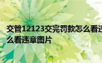 交管12123交完罚款怎么看违法照片 交管12123交完罚款怎么看违章图片 