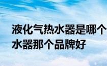 液化气热水器是哪个牌子的好 求解液化气热水器那个品牌好 